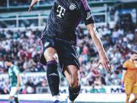 九游-包含凯恩迎来十五赛季高光表现，加拿大队球迷沸腾！的词条