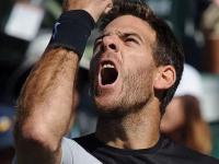 九游体育-费德勒新星高光表现表现惊艳，C9未来可期！的简单介绍