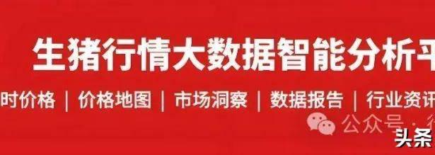 九游体育-德国杯倒计时，辽宁本钢窗口期内部沟通，细节引发关注，细节曝光，球队文化被再次提及(本溪本钢内退通知)