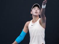 九游体育-莎拉波娃遭遇七连败，瑞士队教练面临压力！的简单介绍