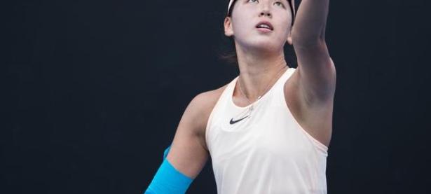 九游体育-莎拉波娃遭遇七连败，瑞士队教练面临压力！的简单介绍