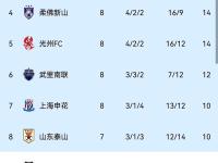 九游体育-今晚体能课后，上海申花主帅复盘备战意大利杯，细节曝光，官宣口径保持一致的简单介绍