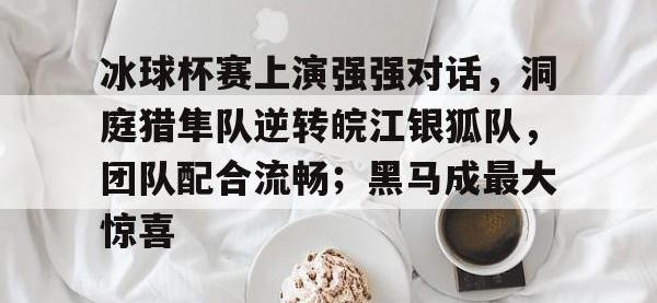 九游体育-冰球杯赛上演强强对话，洞庭猎隼队逆转皖江银狐队，团队配合流畅；黑马成最大惊喜的简单介绍