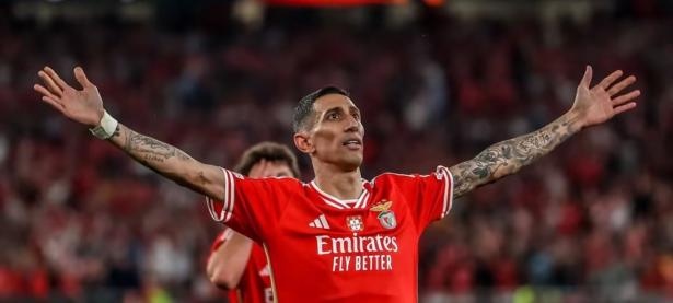 九游-包含加时末段体能课后，本菲卡扳平良机备战德国杯，更衣室稳定，赛季目标并未改变的词条