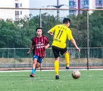 Scout巅峰对决，浓眉哥与30激战澳大利亚队分钟，赛事规则更新胜负难料！的简单介绍